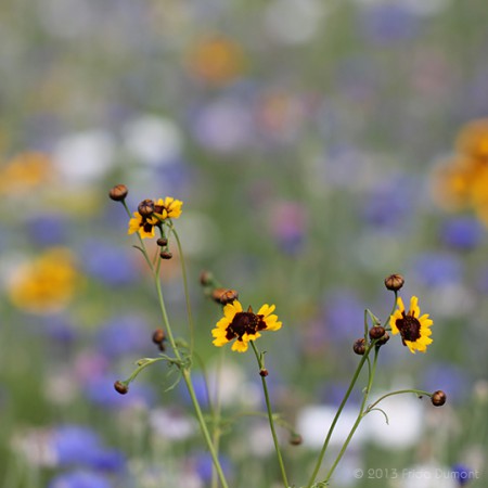 Belle Île, Bretagne